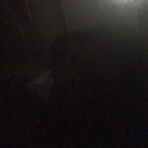 Meet your Posher, Betty